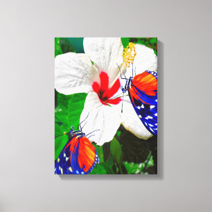 Hibiscus flower with 2 Tiger Longwing butterflies Canvas Print