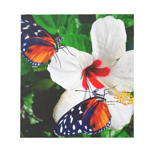 Hibiscus flower with 2 Tiger Longwing butterflies Notepad (Front)
