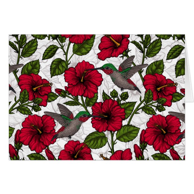 Hibiscus flowers and hummingbirds (Front Horizontal)