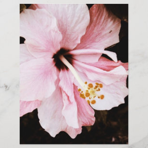 Hibiscus Flyer