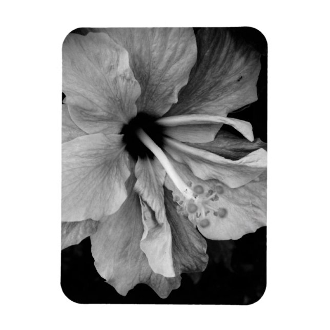 Hibiscus Flyer Magnet (Vertical)