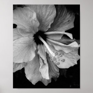 Hibiscus Flyer Poster