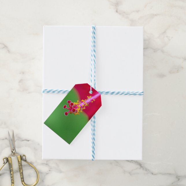 hibiscus gift tags (With Twine)