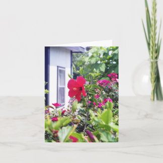 Hibiscus Hello Card