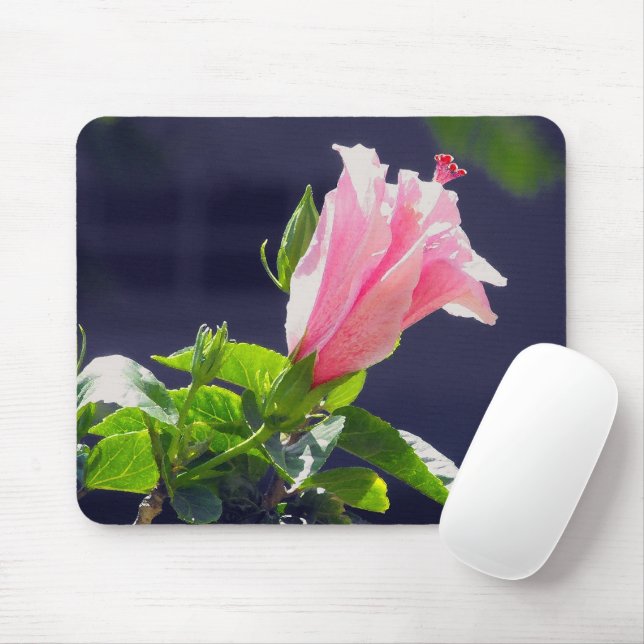 Hibiscus in Bright Sunlight Mouse Mat (With Mouse)