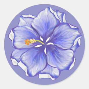 Hibiscus & lace BLUE Classic Round Sticker