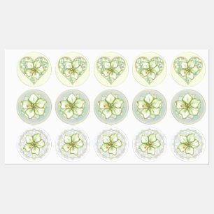 Hibiscus & lace WHITE