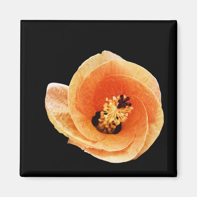 Hibiscus Magnet (Front)