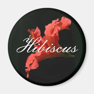 Hibiscus Magnet