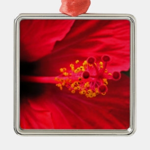 Hibiscus Metal Tree Decoration