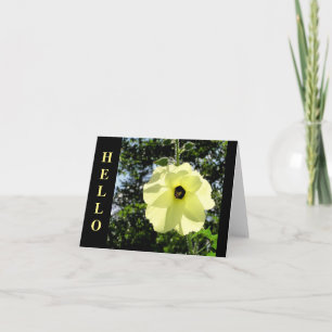 HIBISCUS/MOONLIGHT-YELLOW, BACKLIT BY SUN/ "HELLO" CARD