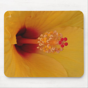 Hibiscus Mouse Mat