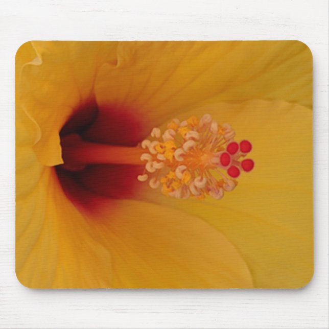 Hibiscus Mouse Mat (Front)