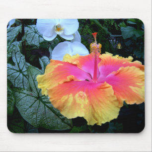 hibiscus mouse mat