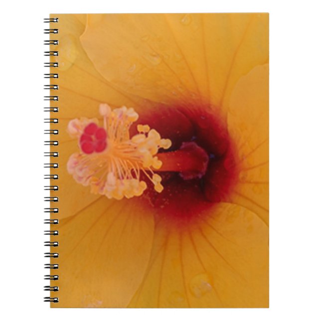 Hibiscus Notebook (Front)