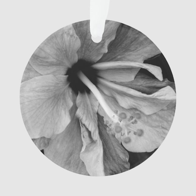 Hibiscus  ornament (Front)