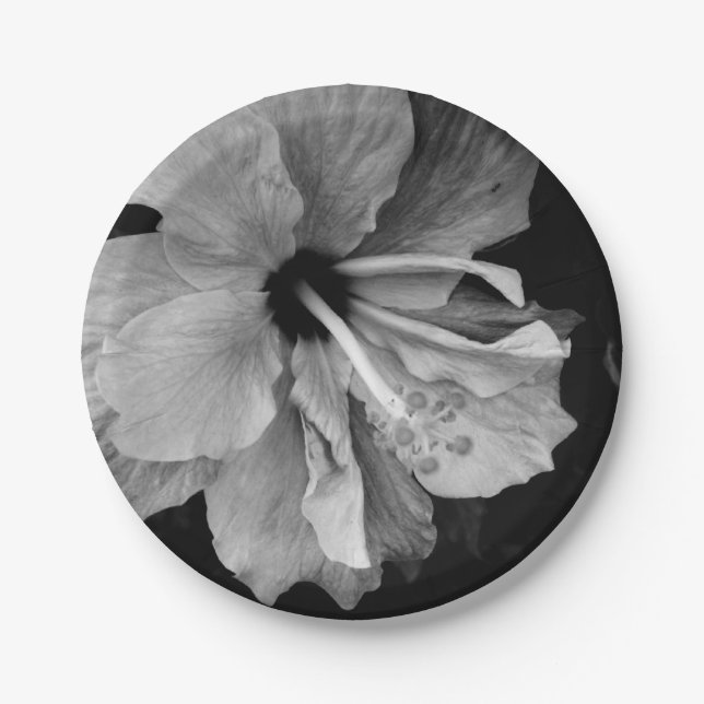 Hibiscus  paper plate (Front)
