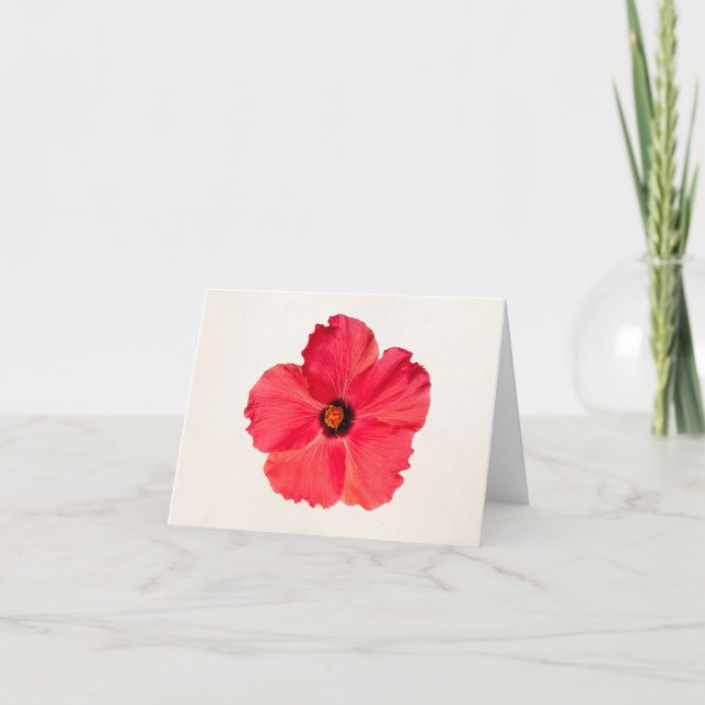 Hibiscus - Personalised Tropical Hot Pink Flower Card (Front)