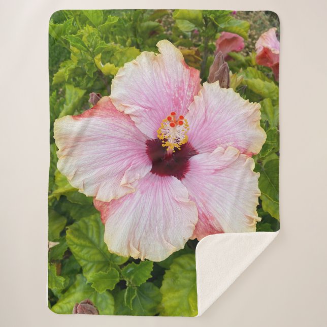 Hibiscus Photograph Blanket (Front)