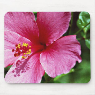 Hibiscus, pink mouse mat