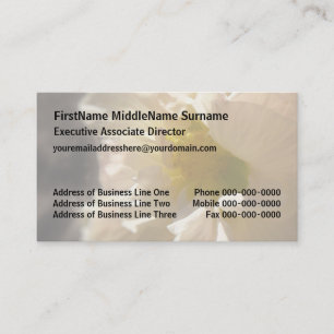 Hibiscus Pink on Sepia Business Card