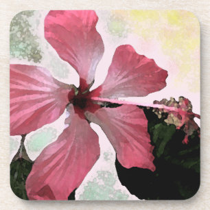 Hibiscus pink tropical flower summer exotic floral coaster