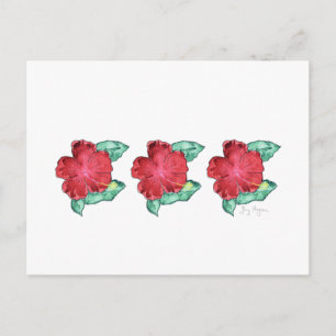 Hibiscus Postcard