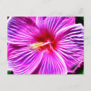 Hibiscus Postcard