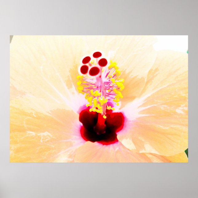 hibiscus poster (Front)