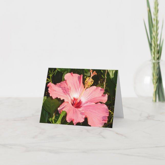 Hibiscus - R Card (Front)