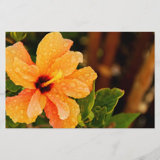 Hibiscus Stationery (Front)