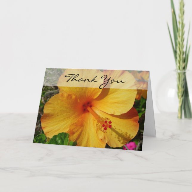 Hibiscus - Thank You (Front)