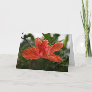 Hibiscus Thank You Card