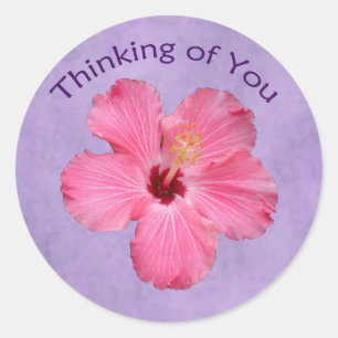 Hibiscus Thinking of You sticker