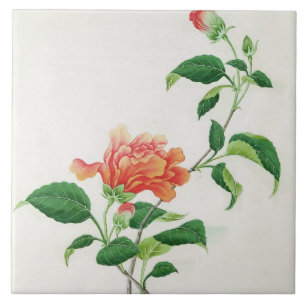 Hibiscus Tile