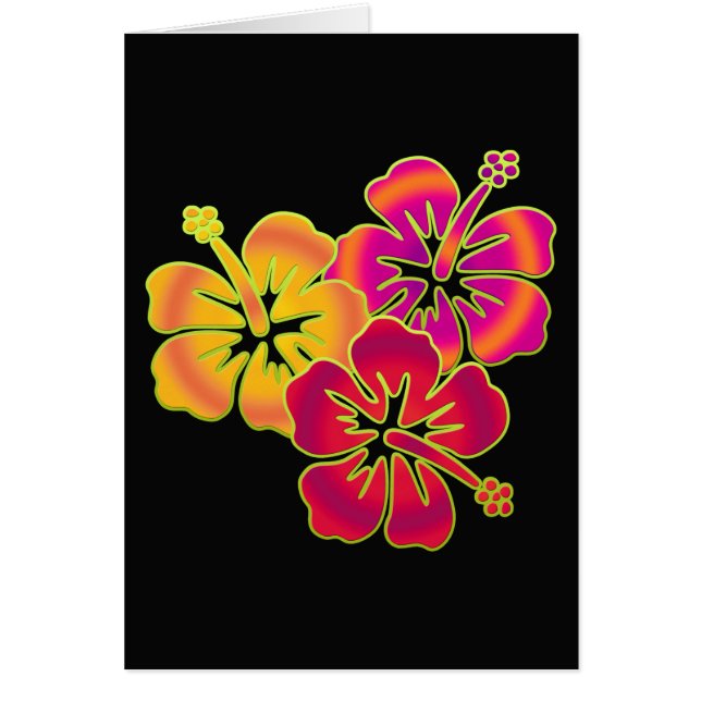 hibiscus trio | BG black (Front)
