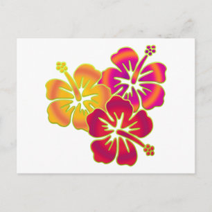hibiscus trio postcard