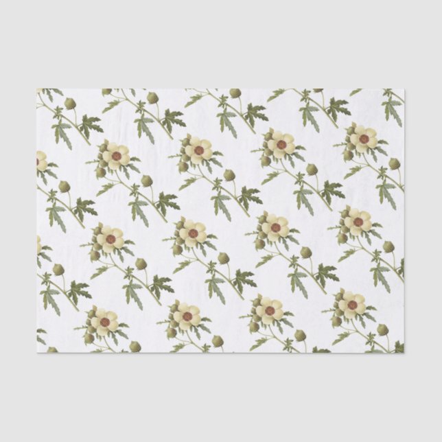 Hibiscus trionum Flower Pattern Tissue Paper (Front)