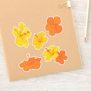 Hibiscus Tropical Flowers in Yellow and Orange