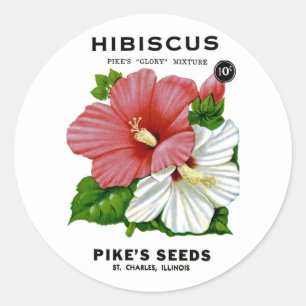 Hibiscus Vintage Seed Packet Classic Round Sticker
