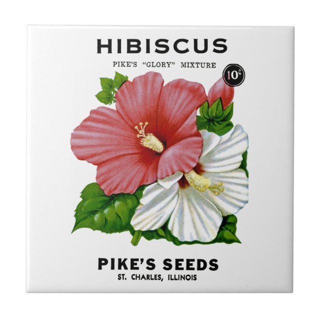 Hibiscus Vintage Seed Packet Tile (Front)