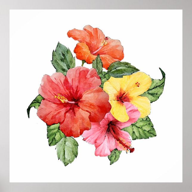 Hibiscus watercolor poster (Front)