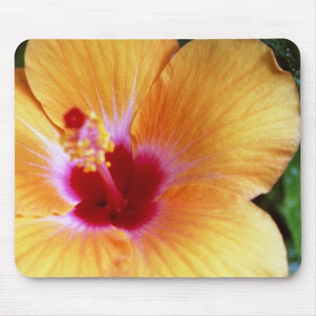 Hibiscus, Yellow-Orange Mouse Mat (Front)