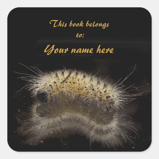 Hickory Tussock Caterpillar Bookplate Square Sticker (Front)