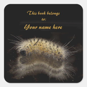 Hickory Tussock Caterpillar Bookplate Square Sticker