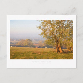 Hidcote, Cotswolds Postcard