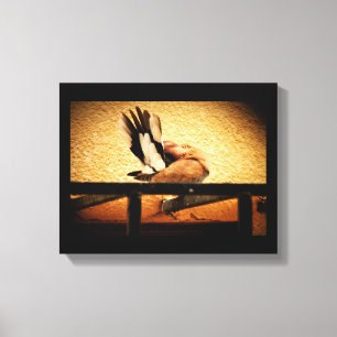 Hidden Beauty Canvas Print