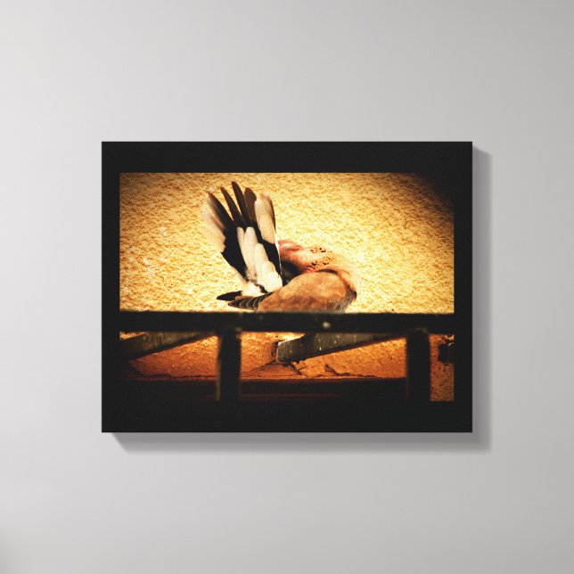 Hidden Beauty Canvas Print (Front)