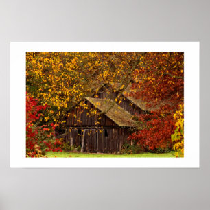 Hidden Beauty. Poster