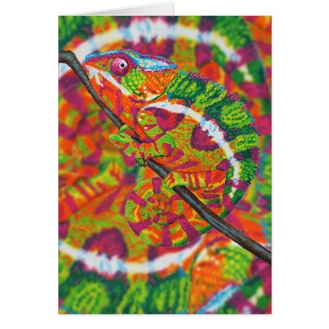 Hidden Chameleon card (Front)